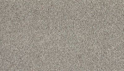 Mohawk Everstrand Soft Appeal Soft Tempo I Frozen Tundra 3K30-925