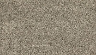 Mohawk Everstrand Soft Appeal Soft Tempo I London Fog 3K30-952