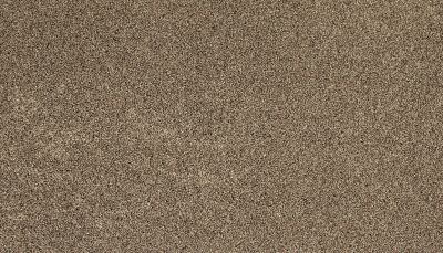 Mohawk Everstrand Soft Appeal Soft Clarity II Down Draft 3K33-796