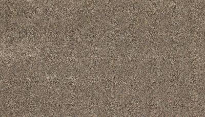 Mohawk Everstrand Soft Appeal Soft Clarity II Shadow Suede 3K33-859