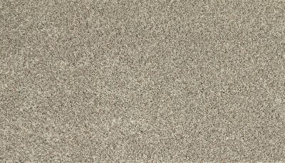 Mohawk Everstrand Soft Appeal Soft Clarity II Celtic Mist 3K33-911