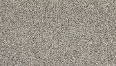 Mohawk Everstrand Soft Appeal Soft Clarity II Frozen Tundra 3K33-925
