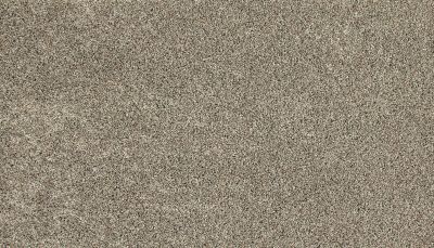 Mohawk Everstrand Soft Appeal Soft Clarity II London Fog 3K33-952