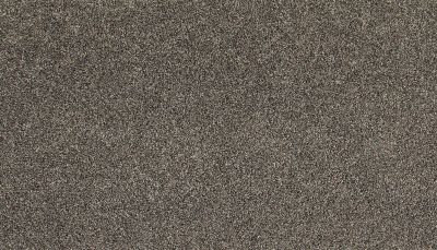 Mohawk Everstrand Soft Appeal Soft Clarity II Gravel Path 3K33-977