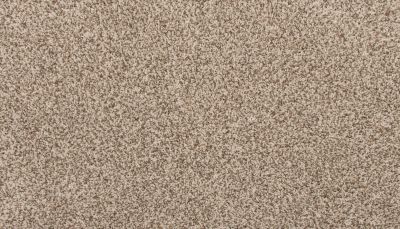 Mohawk Everstrand Revive Elk Beige 3K42-13