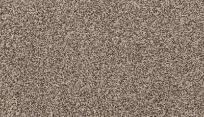 Mohawk Everstrand Revive Quiet Light 3K42-6