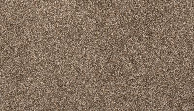 Mohawk Everstrand Classic Hues II Scotch Mist 3K61-945