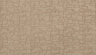 Mohawk Smartstrand Silk Well Mannered Champagne 3K70-772