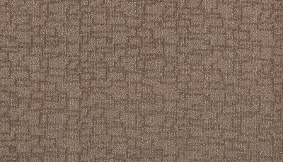 Mohawk Smartstrand Silk Well Mannered Cabana 3K70-863