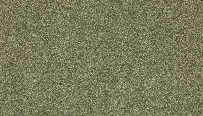 Mohawk Smartstrand Radiant Surface Sage 3K72-621