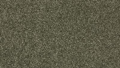 Mohawk Smartstrand Radiant Surface Inverness 3K72-696