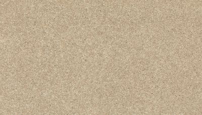 Mohawk Smartstrand Radiant Surface Outer Banks 3K72-745