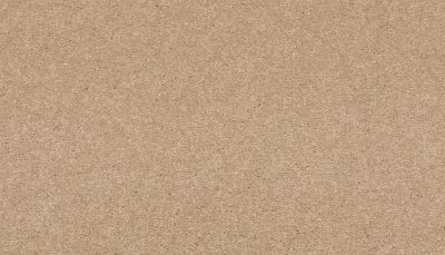 Mohawk Smartstrand Radiant Surface Tradition 3K72-765