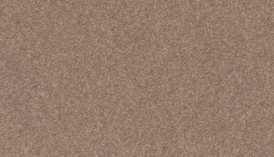 Mohawk Smartstrand Radiant Surface Timeless 3K72-779