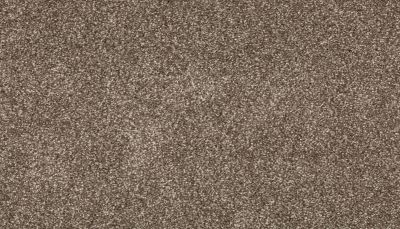 Mohawk Smartstrand Radiant Surface Cascade 3K72-849