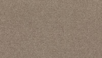 Mohawk Smartstrand Radiant Surface Arctic 3K72-908