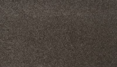 Mohawk Smartstrand Radiant Surface Nocturne 3K72-962