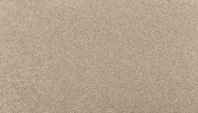 Mohawk Smartstrand Radiant Tone Outer Banks 3K73-745