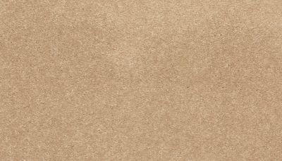 Mohawk Smartstrand Radiant Tone Haven 3K73-758