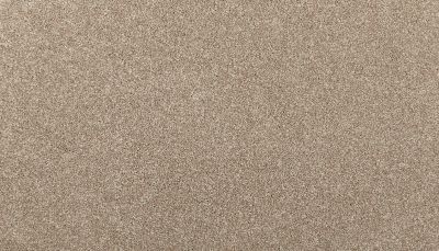 Mohawk Smartstrand Radiant Tone Chalet 3K73-764