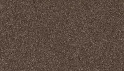 Mohawk Smartstrand Radiant Tone Fortress 3K73-870