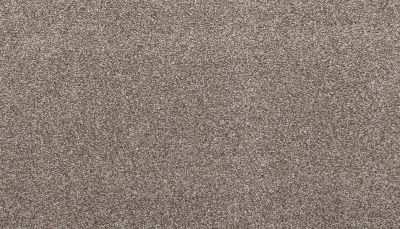 Mohawk Smartstrand Noble Surface Cascade 3K74-849