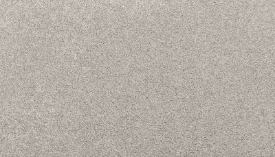 Mohawk Smartstrand Noble Surface Oyster 3K74-938