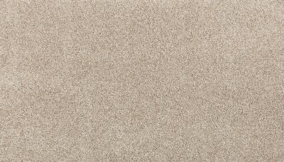 Mohawk Smartstrand Noble Tone Chalet 3K75-764