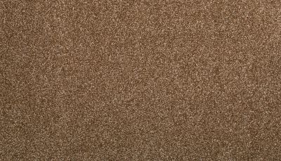 Mohawk Recollection I Glazed Pecan 3L10-792