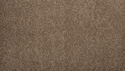 Mohawk Recollection I Sweet Chestnut 3L10-858