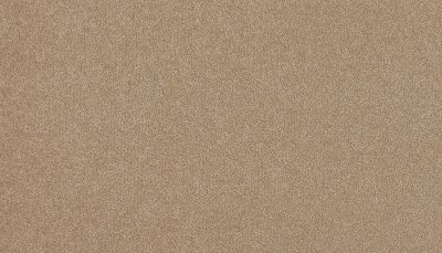 Karastan Kashmere Gossamer Shades Praline 3L16-9742