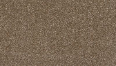 Karastan Kashmere Gossamer Shades Morel 3L16-9852