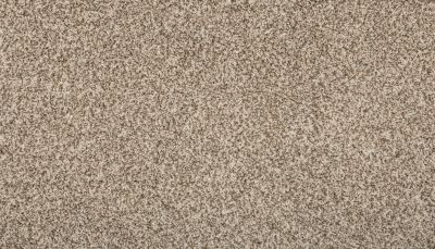 Mohawk Everstrand Remodeled I Elk Beige 3L20-13