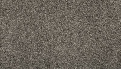 Mohawk Everstrand Remodeled I Pewter 3L20-20