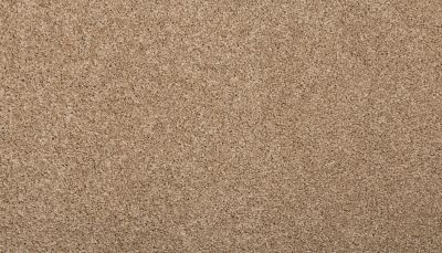 Mohawk Everstrand Revamped I Toffee Cream 3L23-17