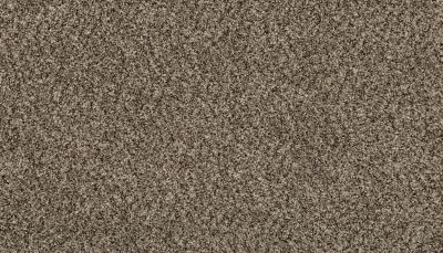 Mohawk Everstrand Revamped I Shimmer Ash 3L23-19