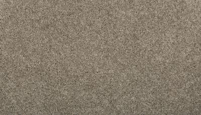 Mohawk Everstrand Revamped III Sound Grey 3L25-12