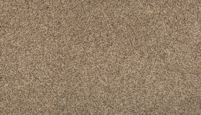 Mohawk Everstrand Revamped III Flax Seed 3L25-14