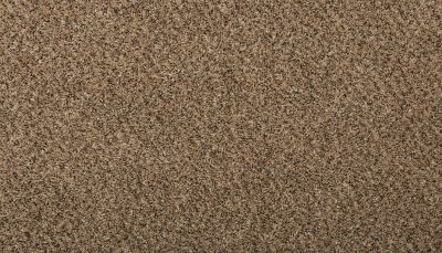 Mohawk Everstrand Revamped III Pretzel Twist 3L25-18