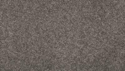 Mohawk Everstrand Revamped III Pewter 3L25-20