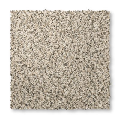 Mohawk Everstrand Terrain I Silver Dollar 3L28-938