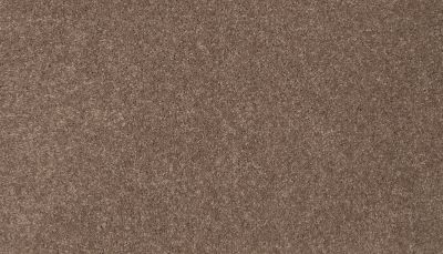 Mohawk Smartstrand Height Of Style II Toffee 3L31-853