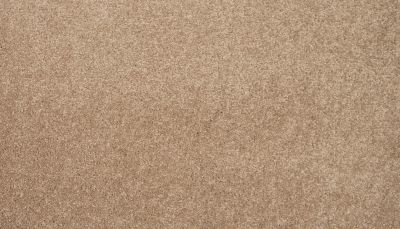 Mohawk Smartstrand Coral Key II Deer Valley 3L33-822