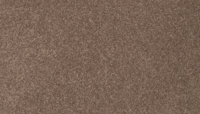 Mohawk Smartstrand Coral Key II Toffee 3L33-853