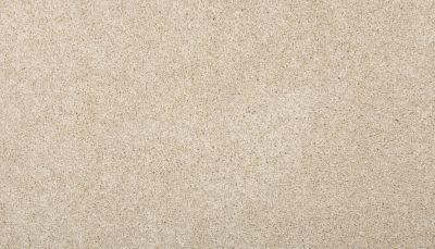 Mohawk Everstrand Renovate I Linen Lace 3L34-1