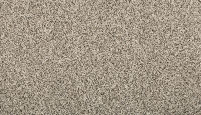 Mohawk Everstrand Renovate I Silver Dollar 3L34-2