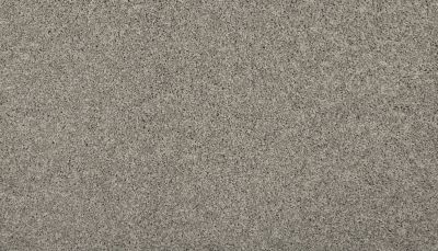Mohawk Everstrand Renovate I Winter Ash 3L34-8