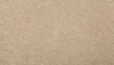 Mohawk Everstrand Renovate I Rice Cake 3L34-9