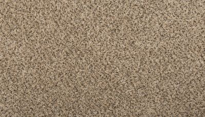 Mohawk Everstrand Renovate II Rice Cake 3L35-9