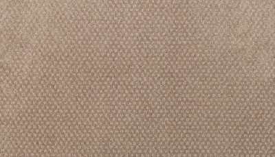 Karastan Smartstrand Greenwich Spirit Cove 3L59-9838